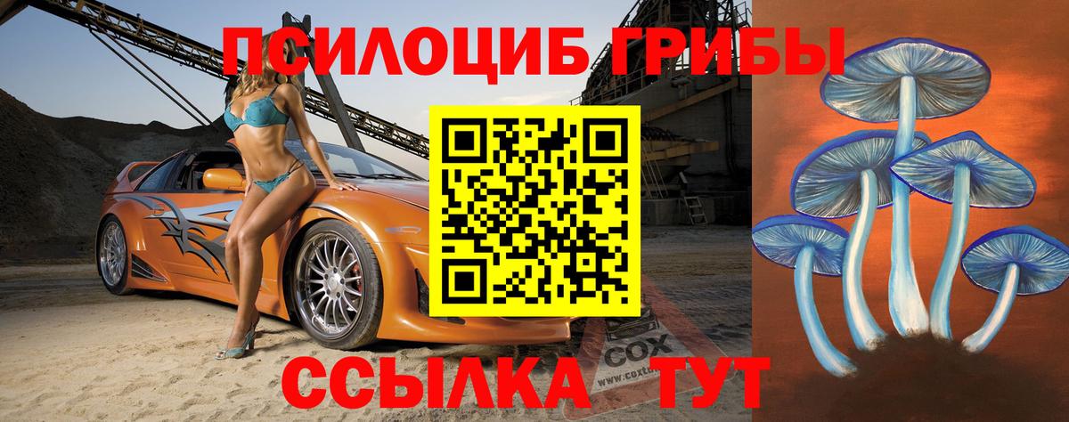 Нурлат  Галлюциногенные грибы Psilocybine cubensis  Вход с VPN  Галлюциногенные грибы мицелий 